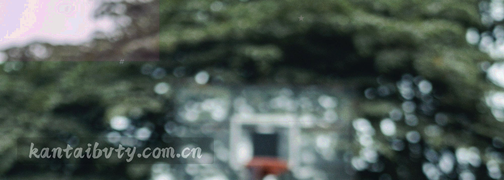深色草皮上交错延伸的白色场地线，只有微弱的绿色反光，没有人物与文字